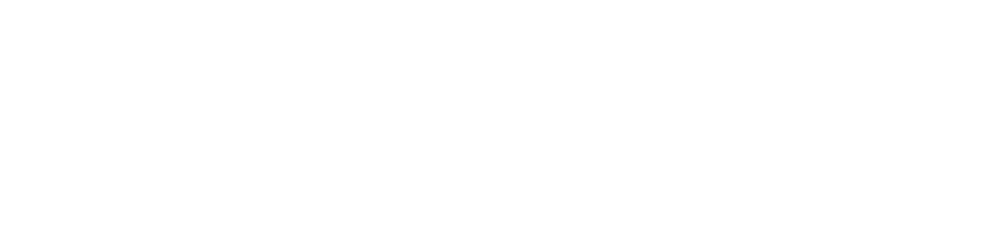 Be Wild Photography Logo